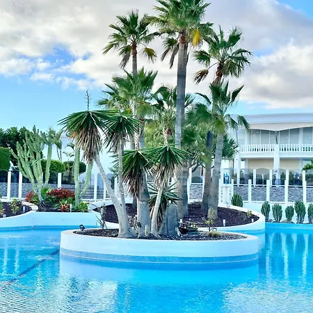 Palms Dream *