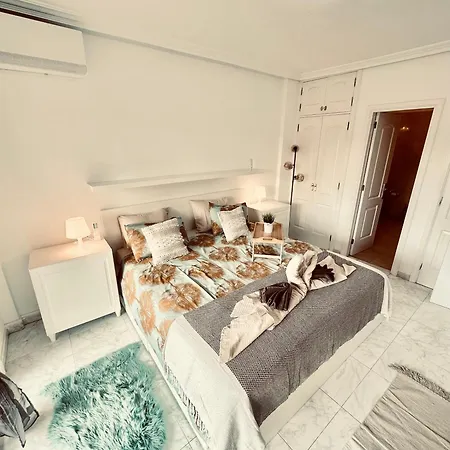 Palms Dream *